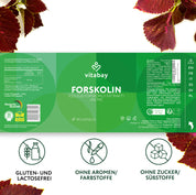 Forskolina 400 mg - 90 capsule vegane