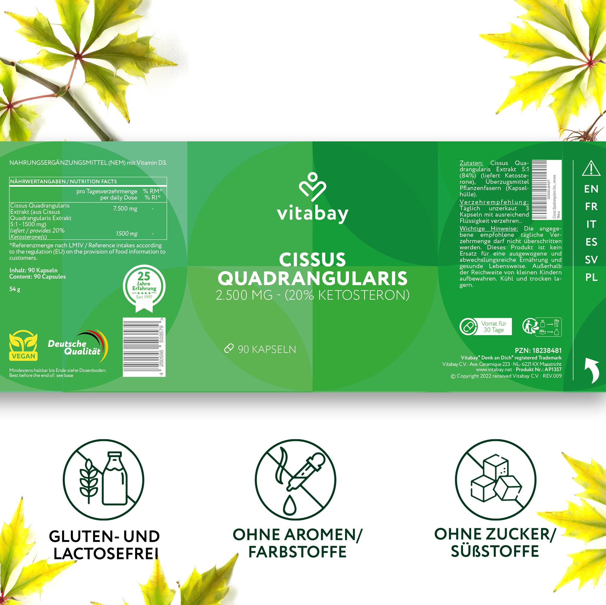 Cissus Quadrangularis Extrakt 2500 mg - 90 vegane Kapseln